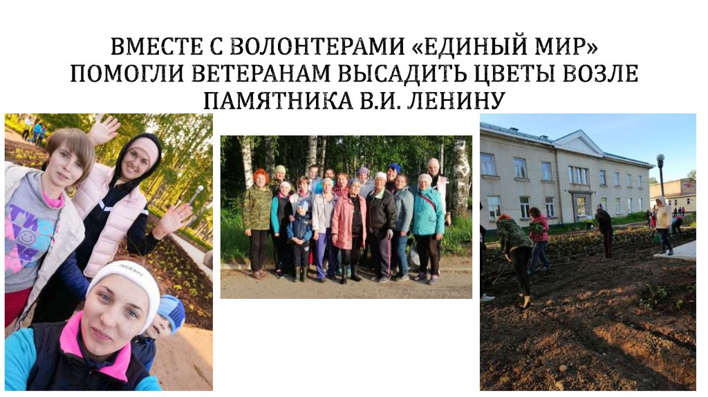 Вместе с волонтерами «единый мир» помогли ветеранам высадить цветы возле памятника В.И. ленину