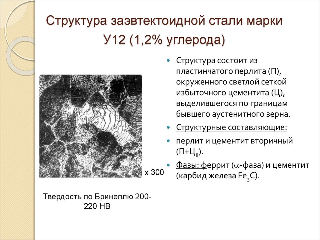 Структура заэвтектоидной стали марки У12 (1,2% углерода)