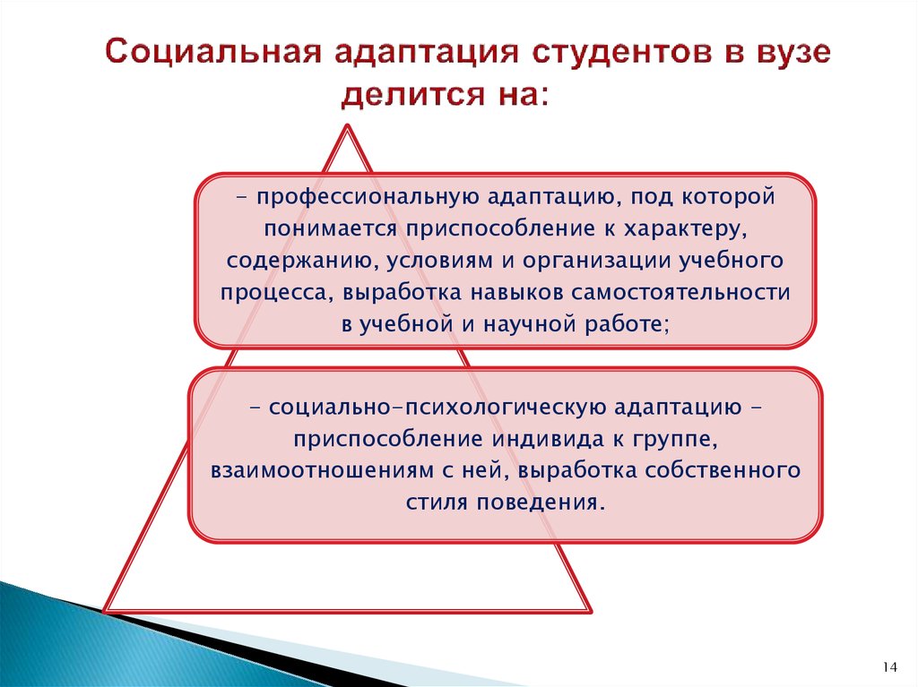 Адаптация студентов в вузе