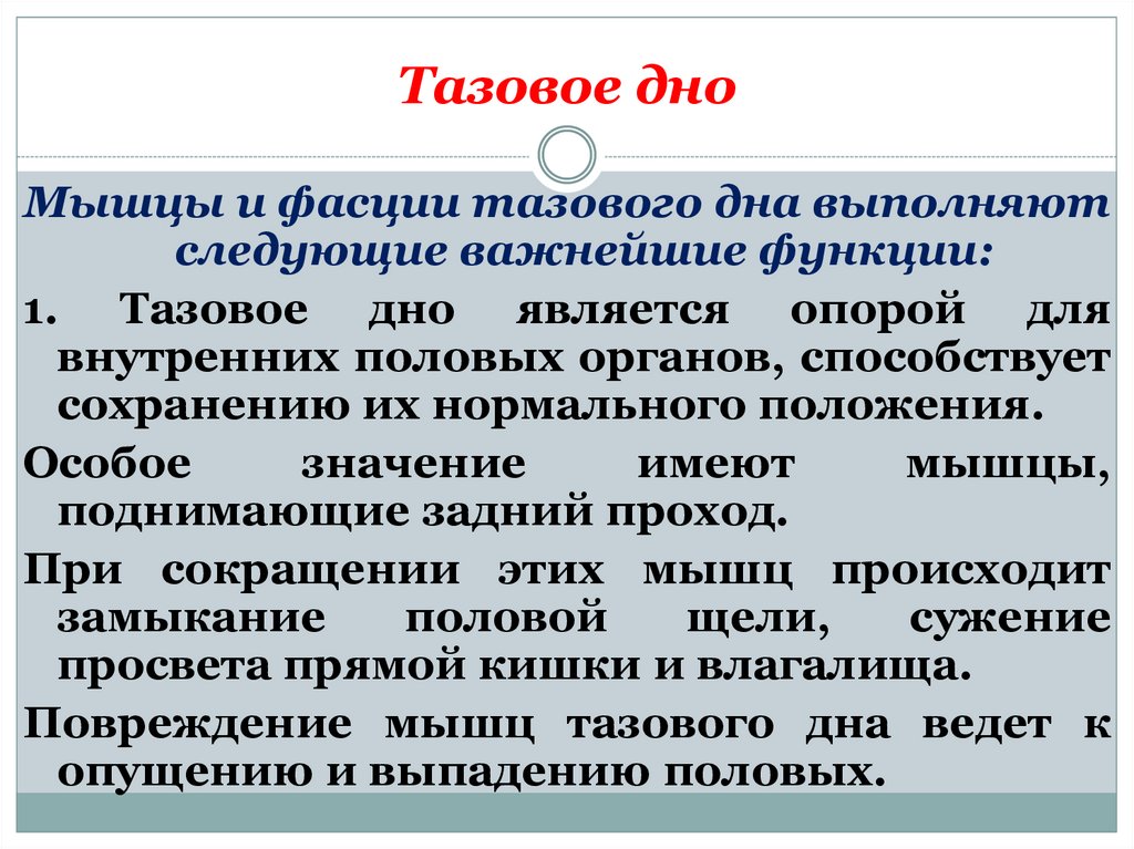 Мышцы дна. Функции тазового дна. Функции мышц тазового дна. Таз. Мышцы тазового дна. Функции. Тазовое дно его строение функции.