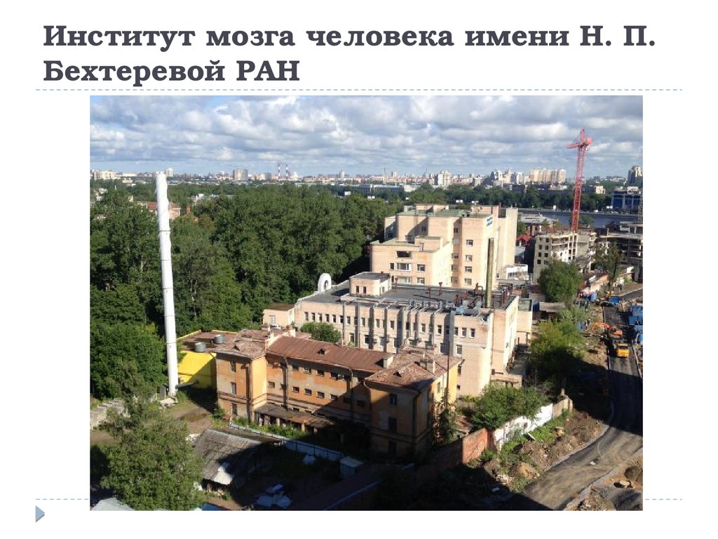 Институт мозга человека имени Н. П. Бехтеревой РАН