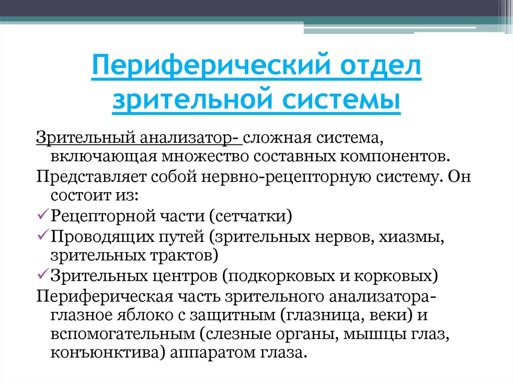 Функции периферического отдела зрительного анализатора. Функции отделов зрительного анализатора. Периферический отдел зрительного анализатора. Функции периферического отдела анализатора. Периферический и Центральный отделы зрительного анализатора.