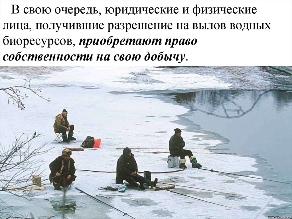 Можно ли ловить рыбу в марте. Зимняя рыбалка на льду. Рыбаки на льду. Рыбалка на тонком льду. Зимняя рыбалка красивые фото.