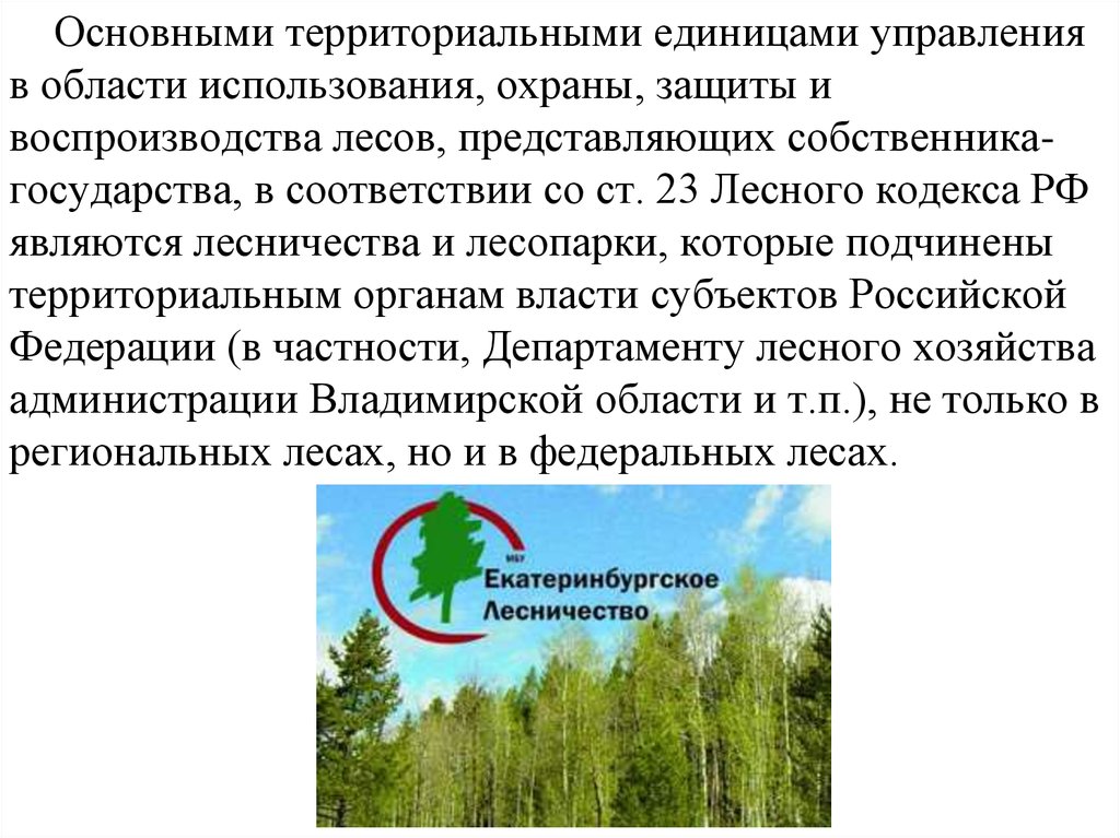 Особенности воспроизводства лесов. Лесничества и лесопарки. Управление воспроизводства и защиты лесов. Воспроизводство, защита и использование лесов. Охрана защита и воспроизводство лесов.