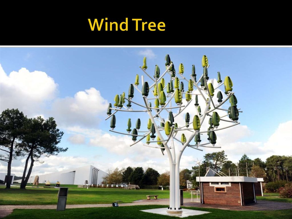 Wind Tree