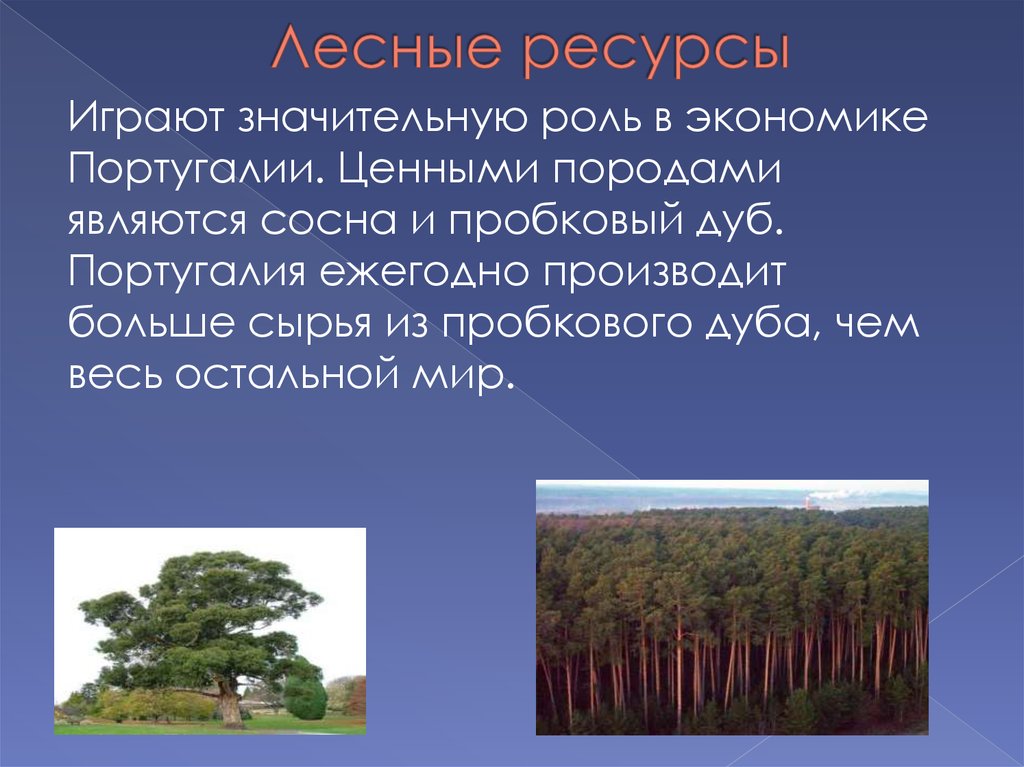 Лесные ресурсы страны