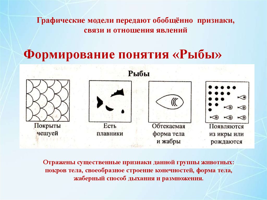 Схематические признаки насекомых рыб птиц зверей. Графическая модель рыбы для дошкольников. Графические модели термин. Графическая модель схема. Моделирование графические модели.