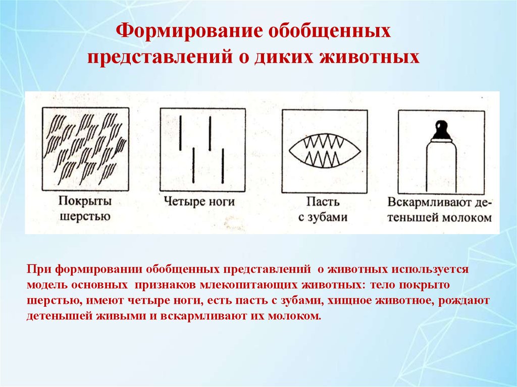 Обобщенное представление. Обобщенные представления. Формировать обобщенные представления. Обобщение в представлении. Формирование обобщающих представлений о животных схема.