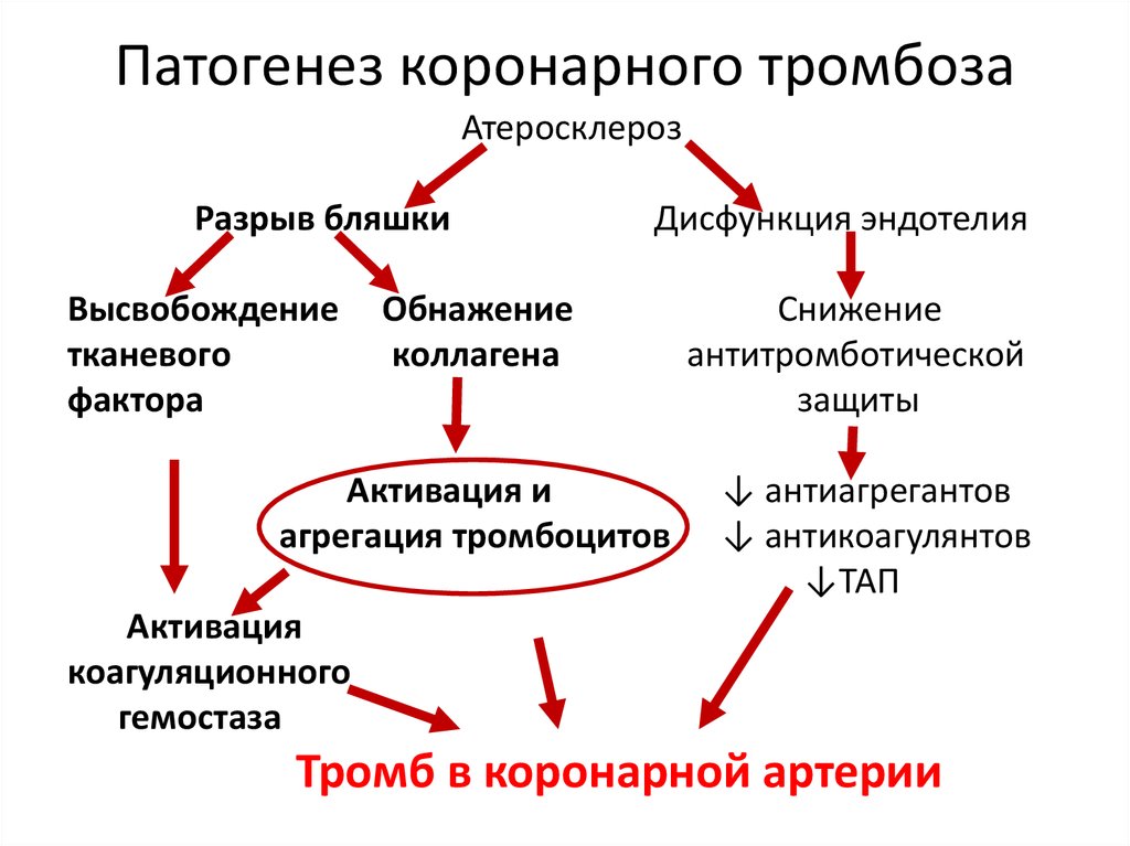 Схема тромбоза. Острый артериальный тромбоз патогенез. Патогенез образования тромба. Механизм развития тромбоза.