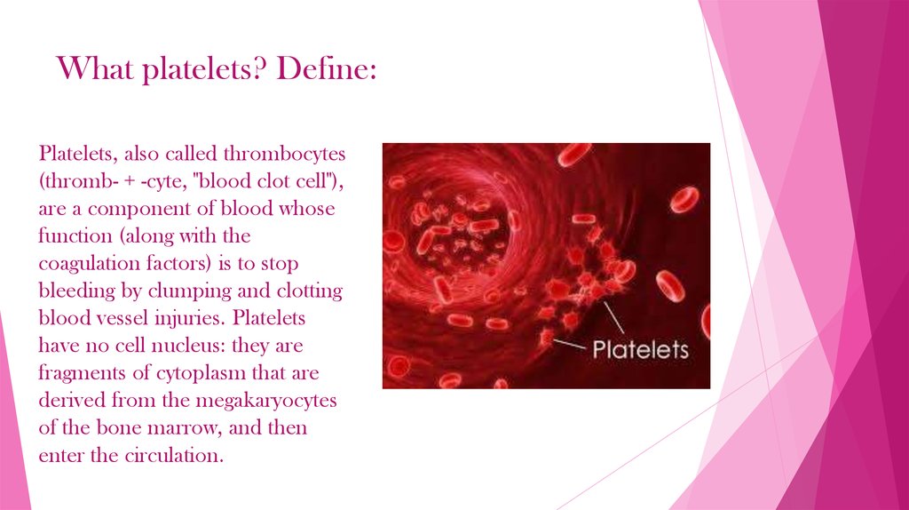 Platelet granules - Ð¿Ñ€ÐµÐ·ÐµÐ½Ñ‚Ð°Ñ†Ð¸Ñ  Ð¾Ð½Ð»Ð°Ð¹Ð½