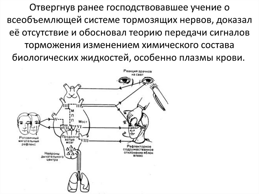 Система тупит