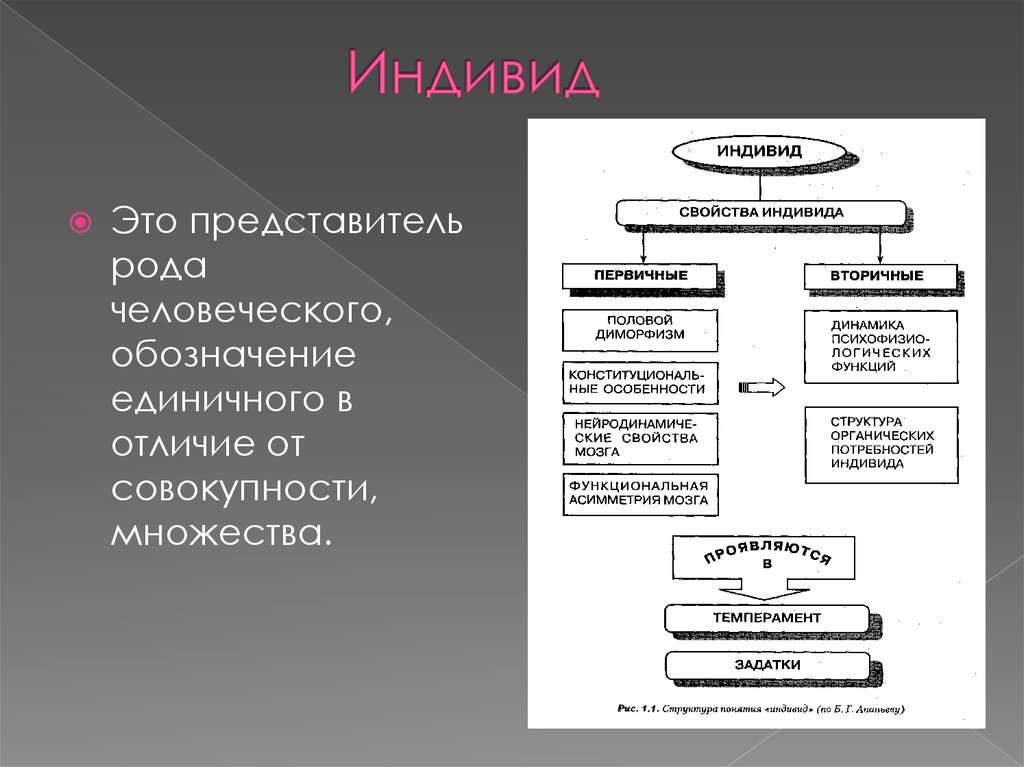 Индивидные свойства человека схема