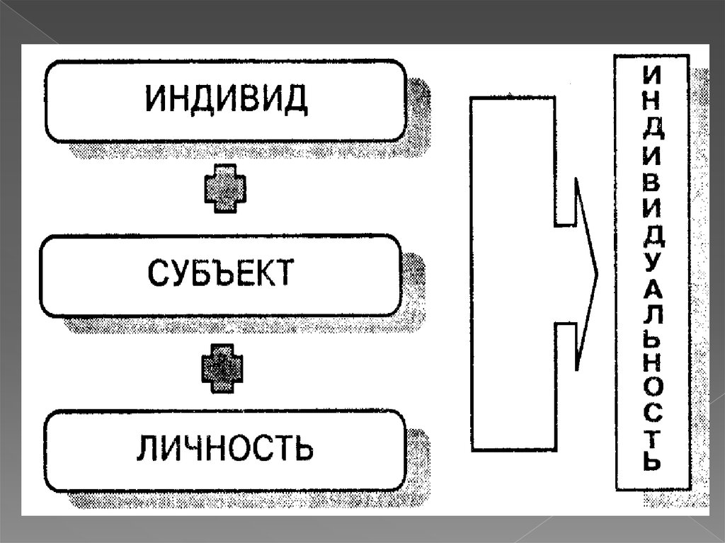 Схема индивид личность индивидуальность