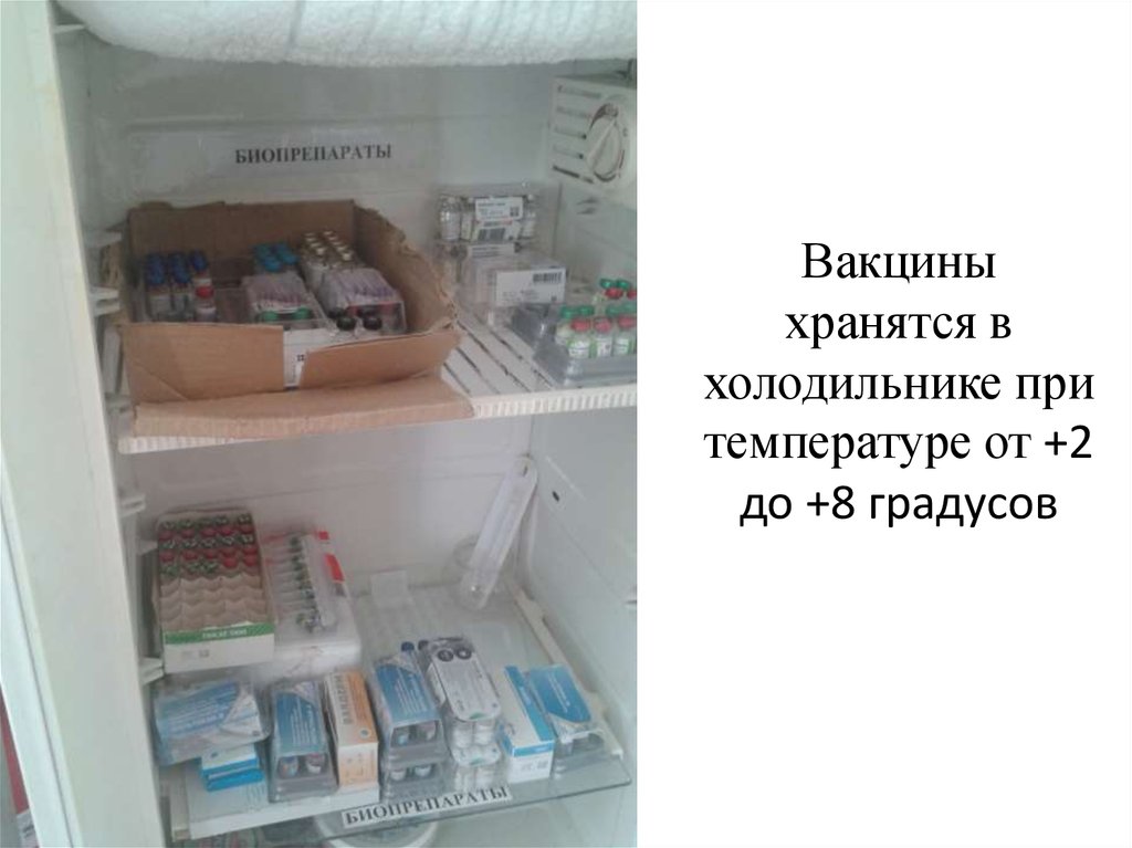 Вакцины хранят при температуре. Хранение в холодильнике. Холодильник для лекарств. Холодильник для медикаментов в аптеке. Хранение лекарственных средств в холодильнике.