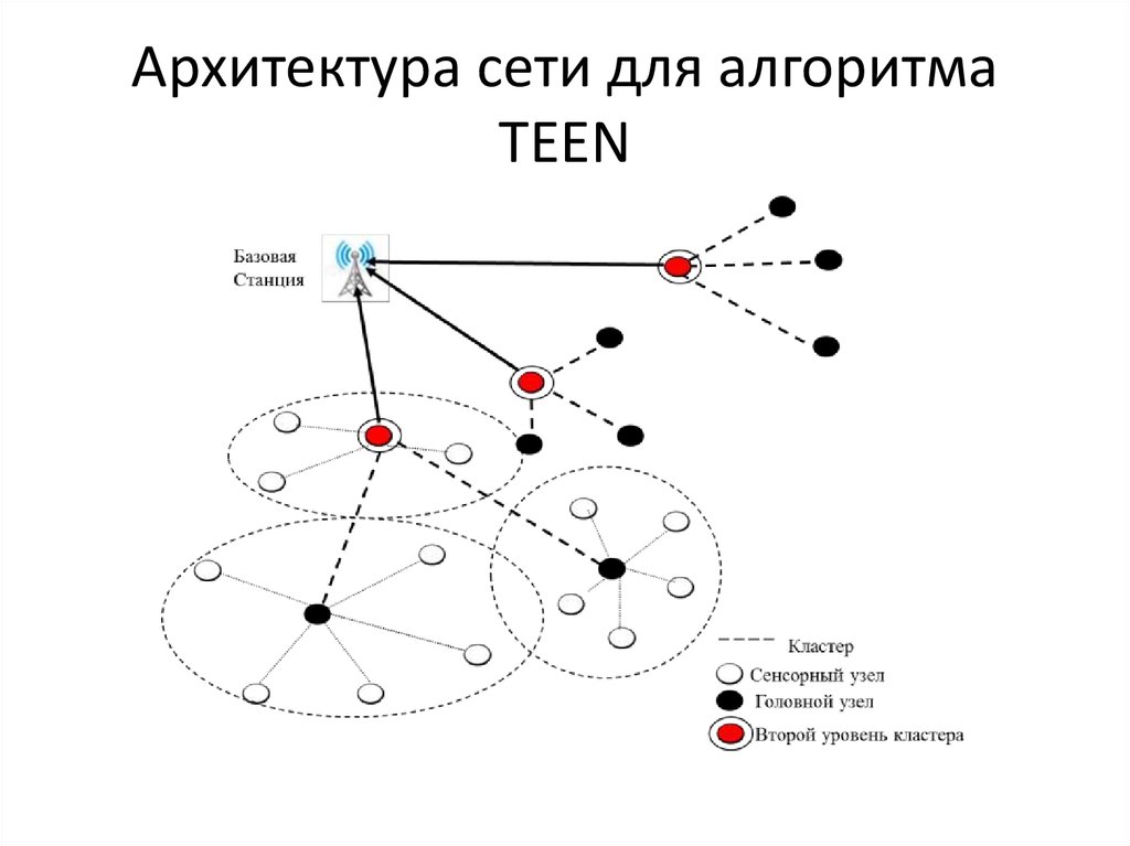 Архитектура сети для алгоритма TEEN