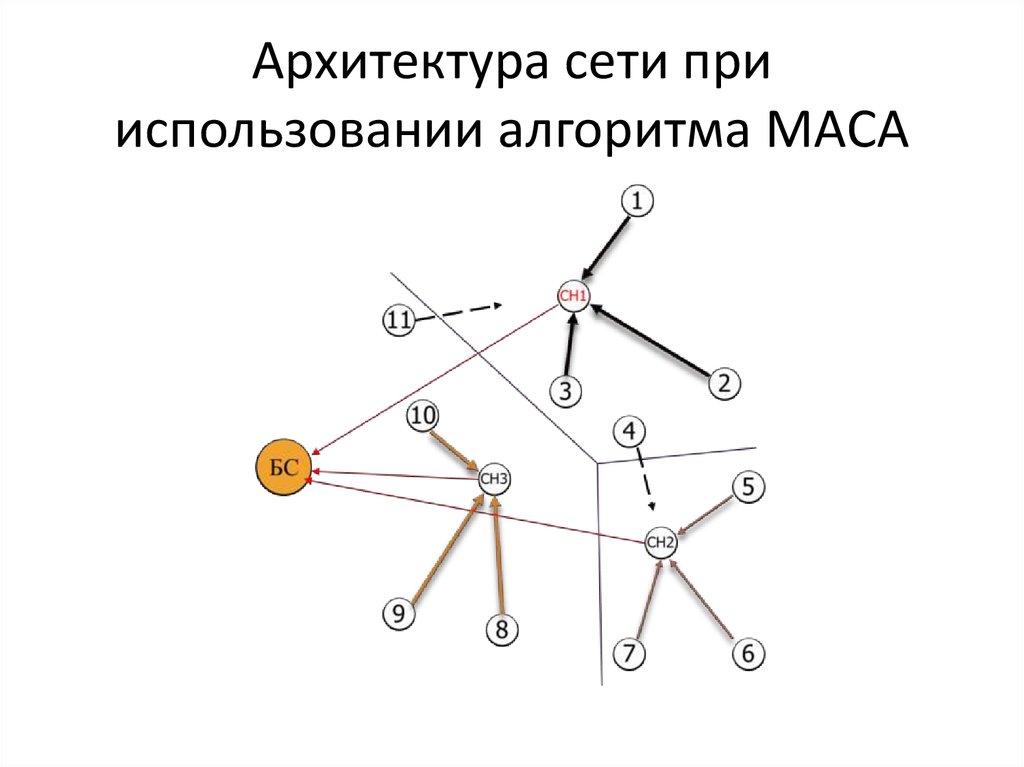 Архитектура сети при использовании алгоритма MACA