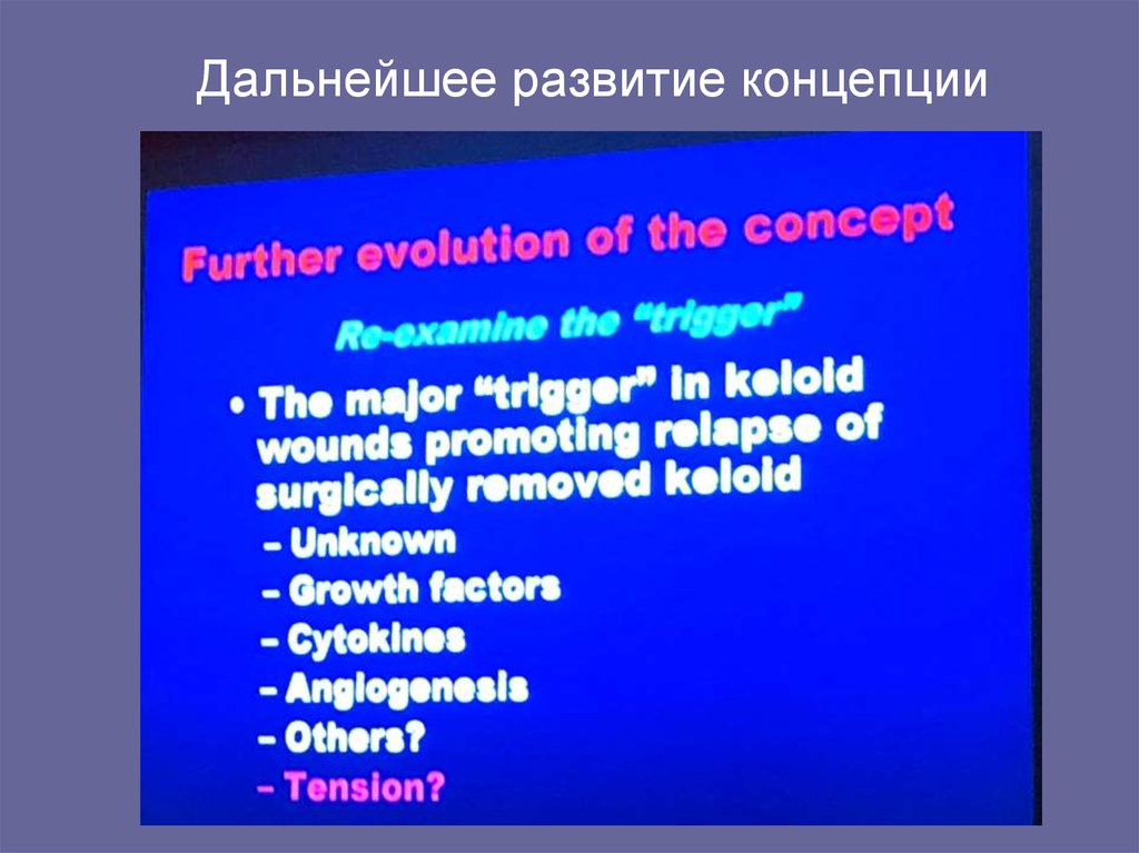 Дальнейшее развитие концепции