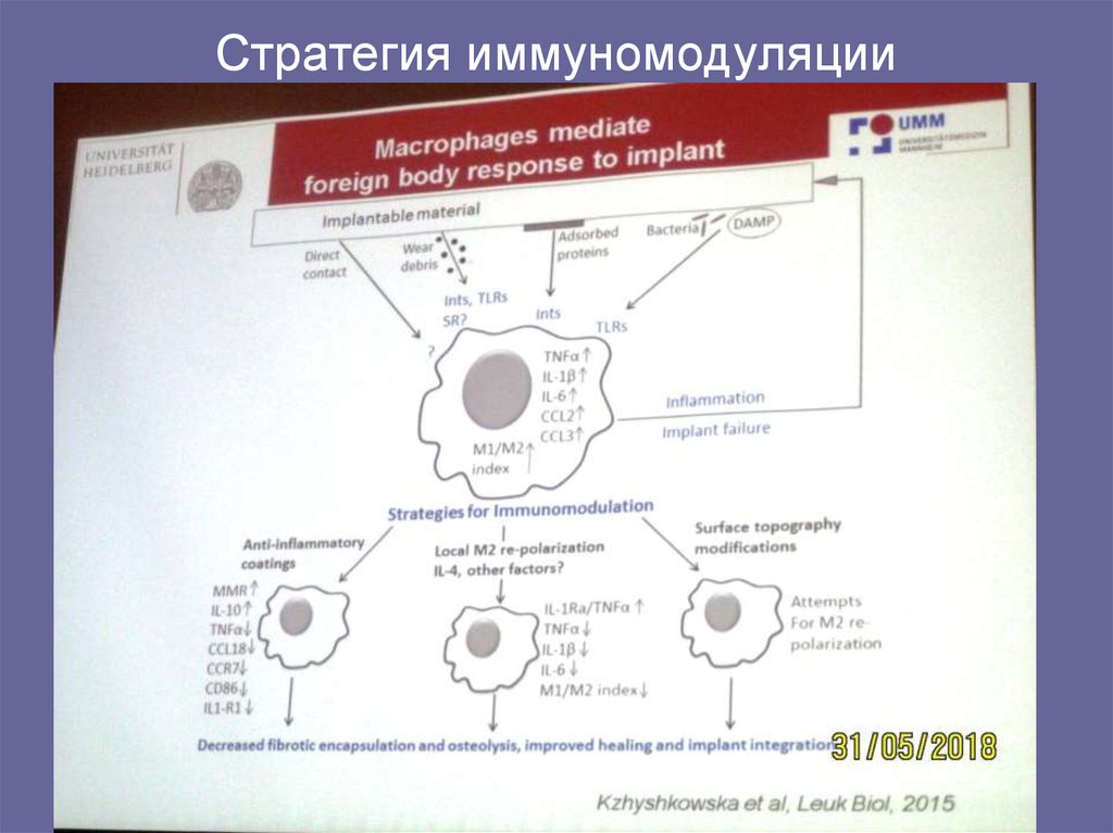 Стратегия иммуномодуляции
