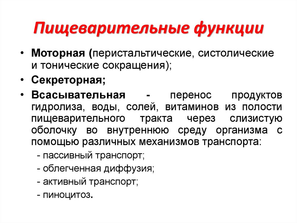 Продукт перен следствие. Перистальтические и тонические сокращения. Моторная функция системы пищеварения. Физиологическая роль моторной функции пищеварительного тракта. Пищеварительные функции физиология.