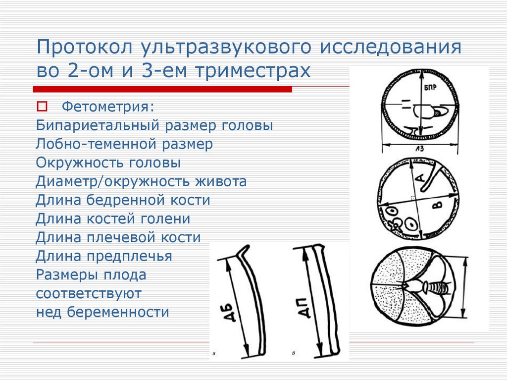 Окружность головы окружность живота. Бипариетальный размер головы. Бипариетальный размер головки. Фетометрия БПР. Бипариетальный размер (БПР).