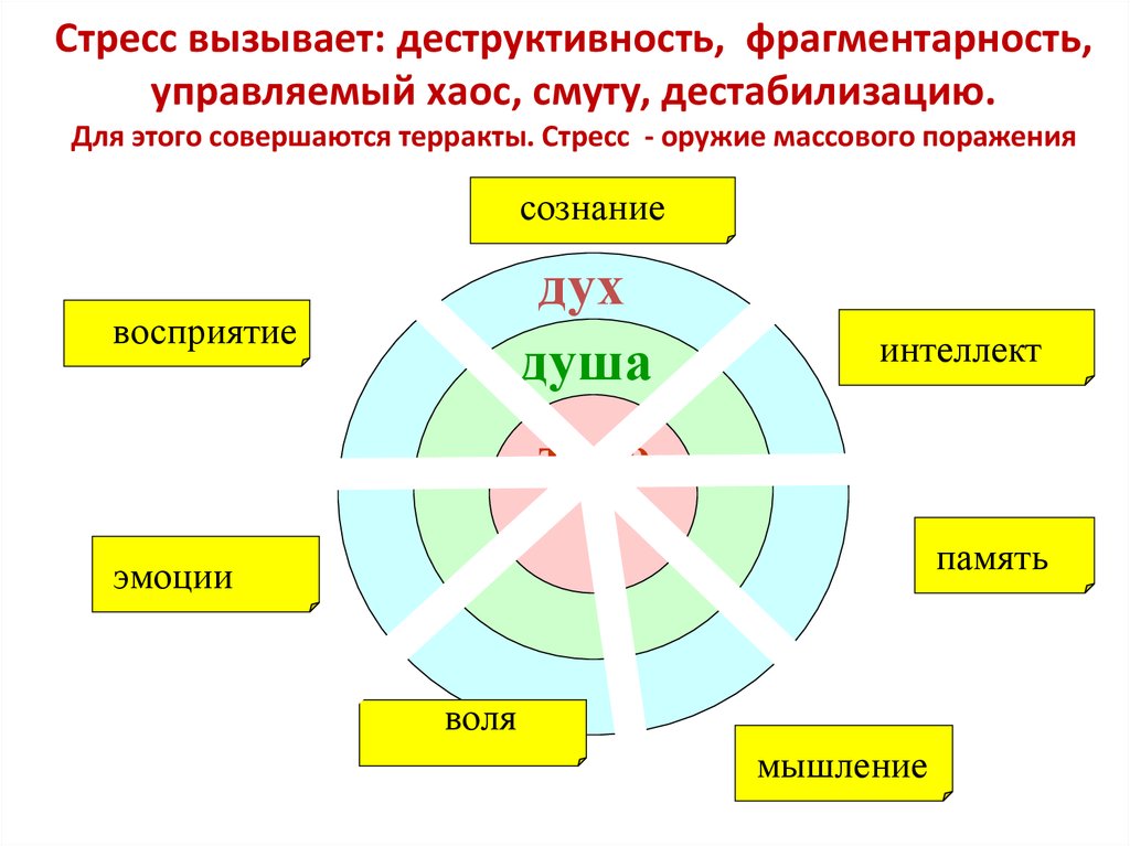 Анатомия человеческой деструктивности