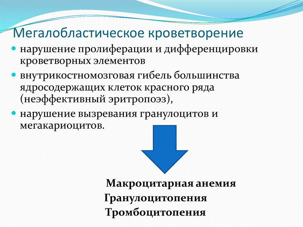 Мегалобластная анемия презентация