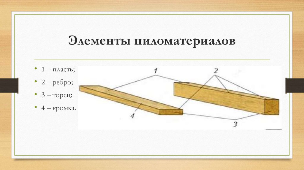 Элементы древесины