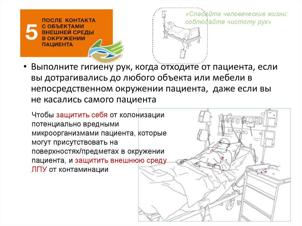 Проект на тему гигиена рук 6 класс