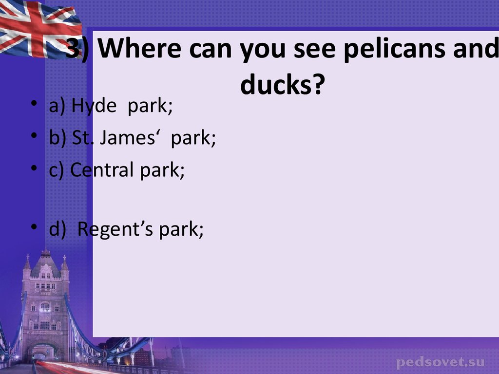 3) Where can you see pelicans and ducks?