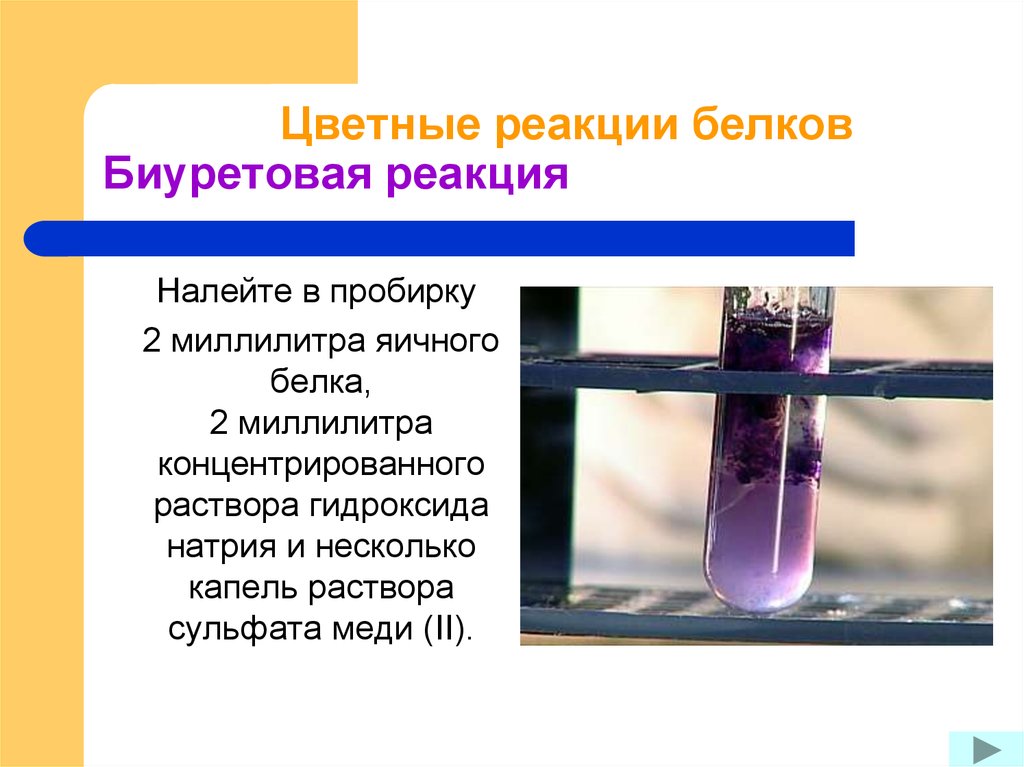 Реакция в пробирке 10. Реакция белка с сульфатом меди 2. Раствор белка сульфат меди 2 реакция. Реакция белка с гидроксидом меди 2 щелочи. Биуретовая реакция с яичным белком.