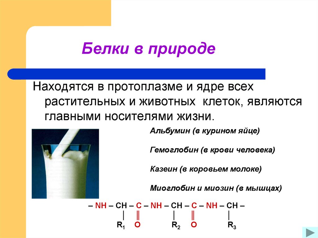 Какова роль белка. Белки нахождение в природе химия. Нахождение белков в природе химия. Белки в природе химия кратко. Белки нахождение в природе.