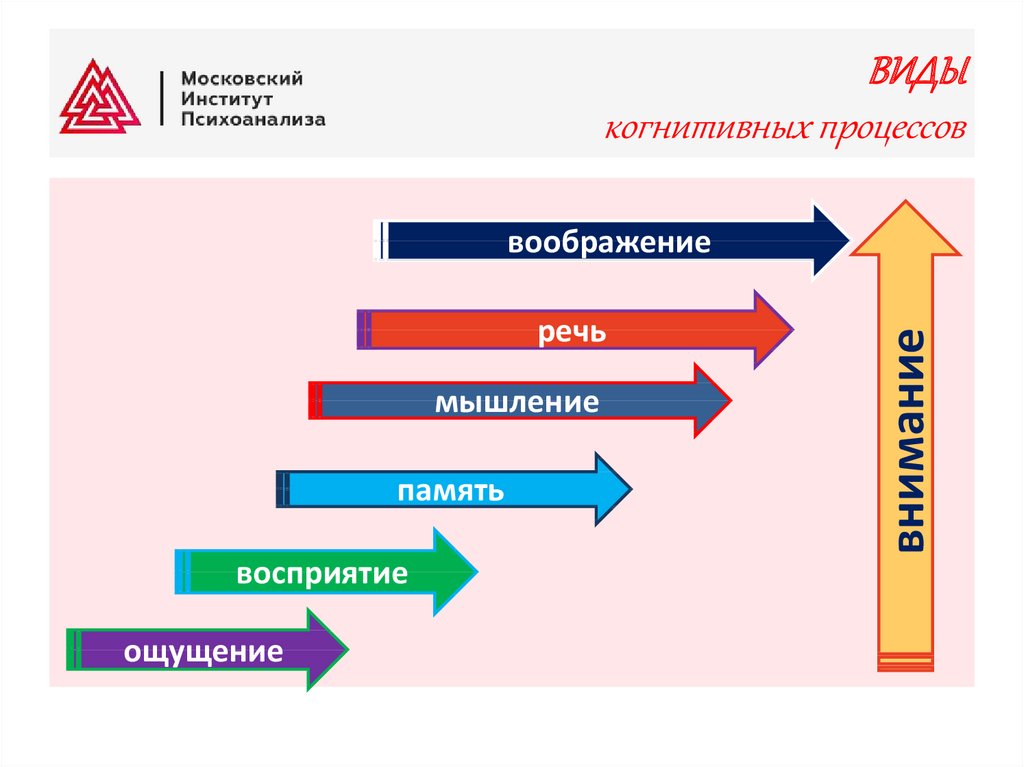 Познавательные процессы и интеллект презентация