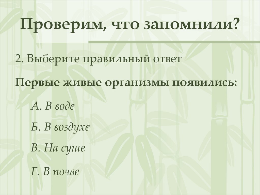 Презентация развитие растительного мира 6 класс