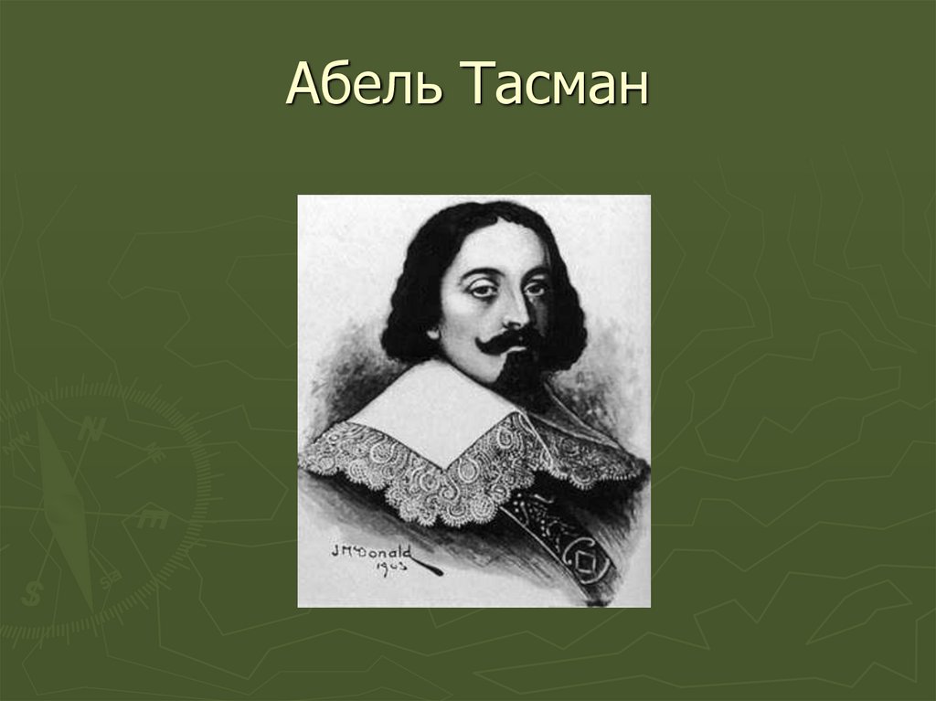 Абель тасман внес