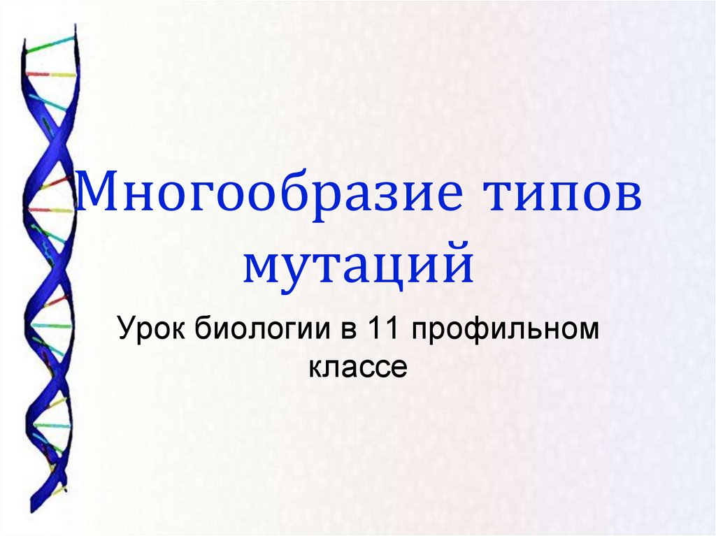 Многообразие типов. Многообразие типов мутаций. Мутации 11 класс биология презентация. Многообразие видов биология 11 класс. Сорокин многообразие типов.