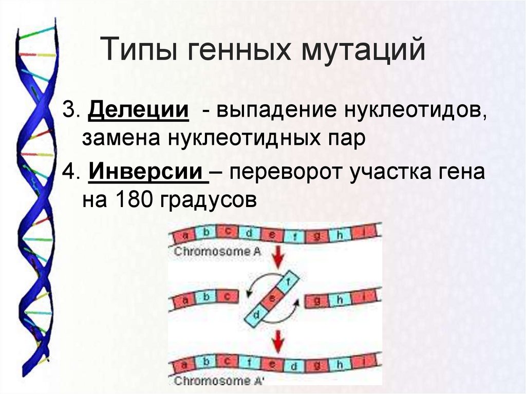 Изменение строения генов. Выпадение нуклеотида. Инверсия генная мутация. Типы мутации ДНК. Делеция нуклеотида.