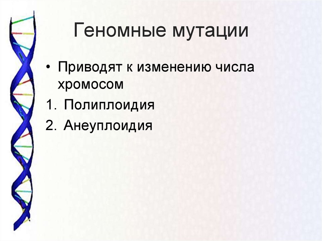 Мутации приводящие к изменению числа хромосом. Изменение числа хромосом приводит к геномным мутациям. Многообразие типов мутаций. Мутации приводят к изменениям. Задачи на мутации.