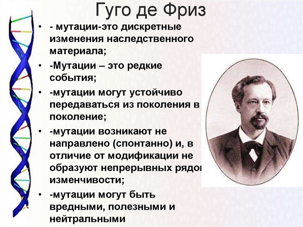 Понятие мутация впервые предложил. Теория Гуго де Фриза. Хуго де фриз мутационная теория. Мутационная теория Фриза. Теория мутации.