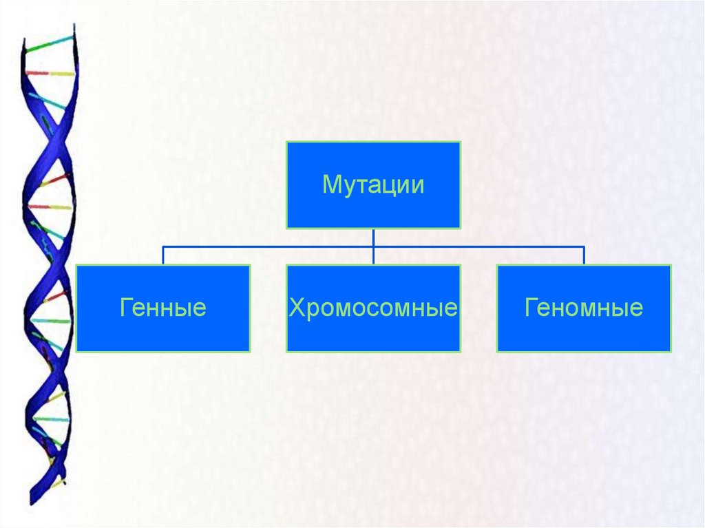 Знаки и мутации. Генные и хромосомные мутации. Гендік мутация. Мутация презентация қазақша. Мутации картинки для презентации.