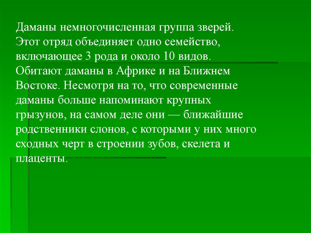 Этот необычный по внешнему виду представитель отряда