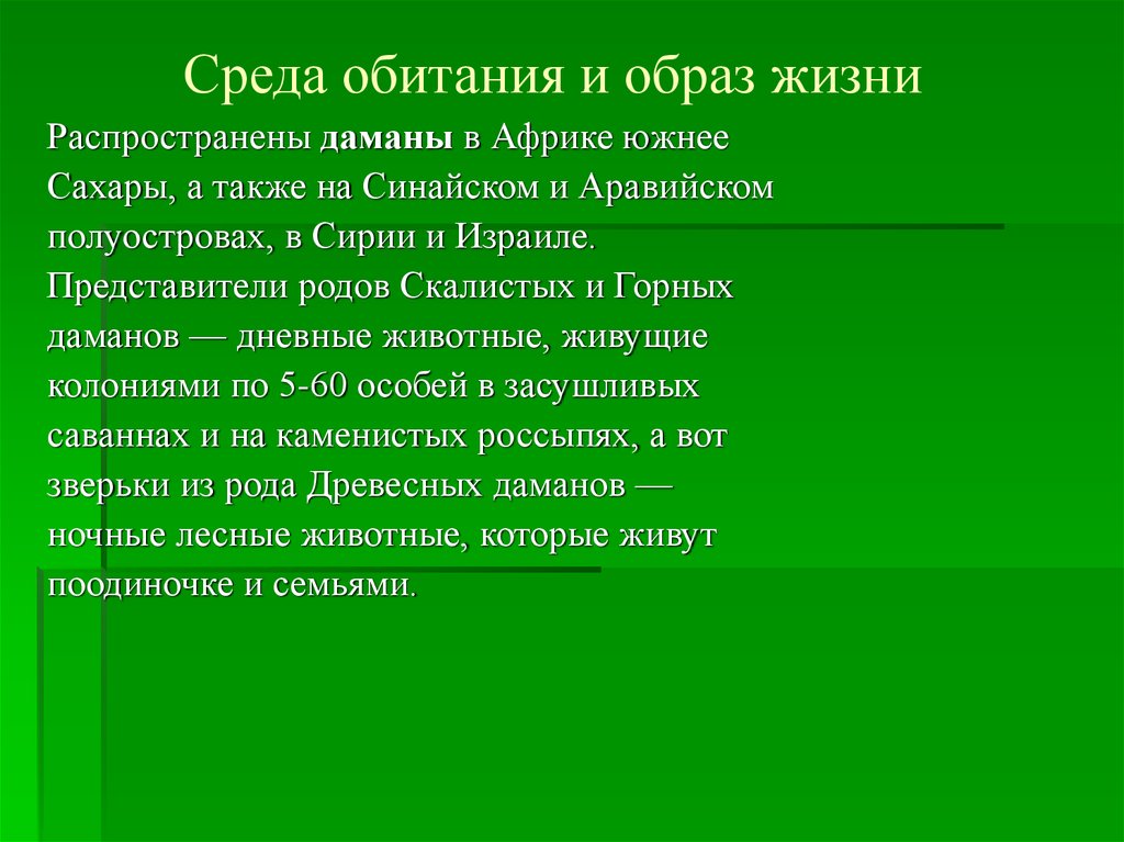 Жизнь распространена. Среда обитания и образ жизни. Среда обитания равнокрылых. Отряд Равнокрылые среда обитания и образ жизни. Равнокрылые образ жизни и среда обитания.