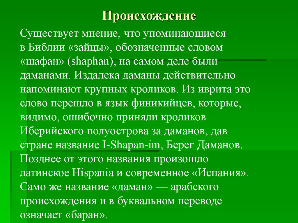 Происхождение ели. Происхождение фамилии даманов. Кто относится к даманам. 5 Видов даманов. Происхождение слова ель.