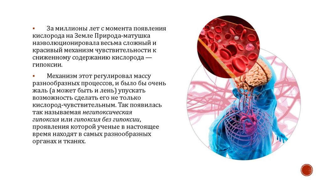 Наиболее чувствительна к гипоксии. Заключение: гипоксия и гипероксия. Гипоксия картинки для презентации. Гипоксия и гипероксия.