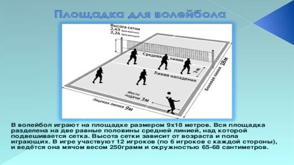 Как играть в волейбол. Правила волейбола и пионербола. Волейбол и пионербол различия. Правил игры в пионербол. Правила игры в волейбол и пионербол.