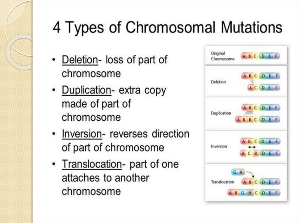 Mutation Online Presentation