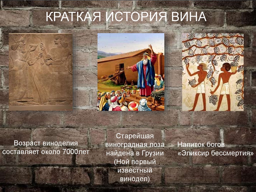 История виноделия