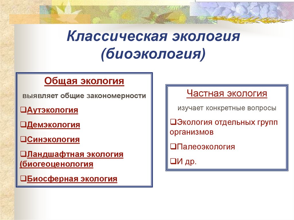 Структура общей экологии опишите и проиллюстрируйте в виде схемы