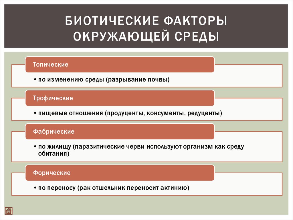 Соотнесите картинки и тип биотических взаимоотношений