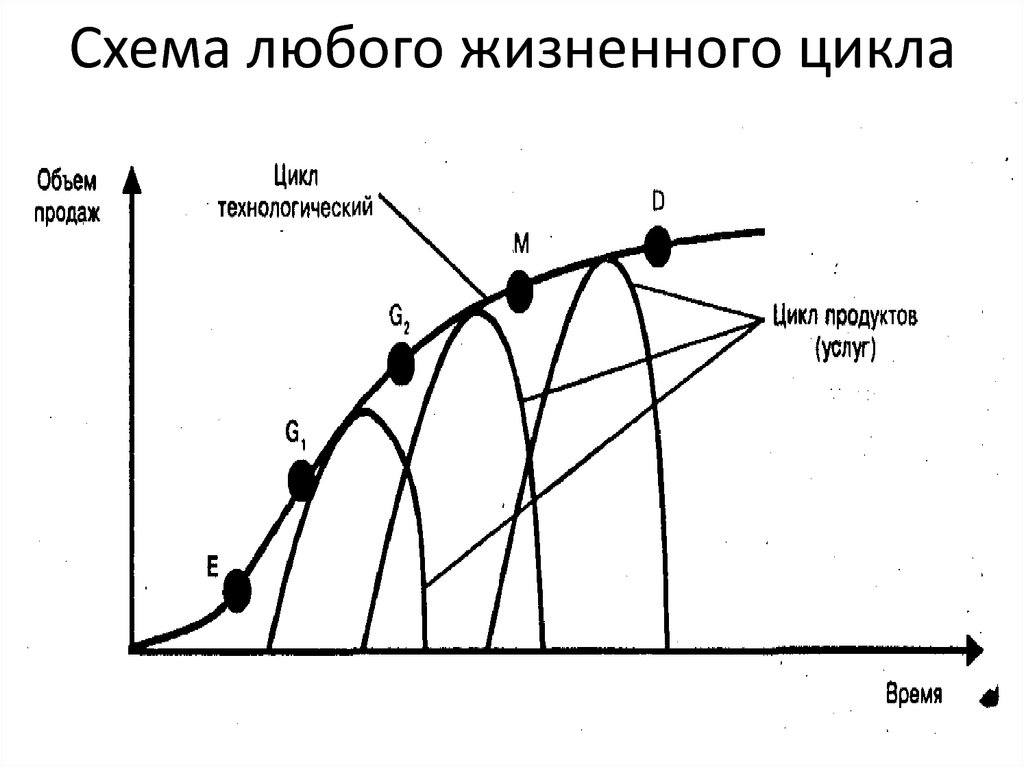 Схема жизненного цикла. Модель жизненного цикла студенческой жизни. Этапы жизненного цикла машины. Схема любого жизненного цикла.