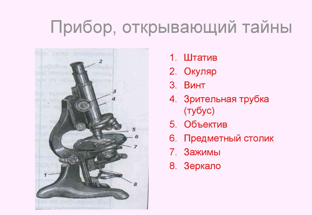 Открой прибор. Зрительная трубка микроскопа. Окуляр тубус объектив штатив зажим предметный столик зеркало. Штатив окуляр винты револьвер. В зрительной трубке микроскопа находится.